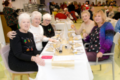 Age-Connects-Christmas-Lunch-2022-1028