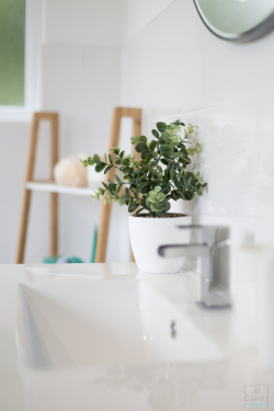 Hazlewood-Home-Staging-260522-1050