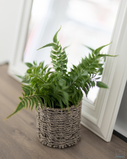 Hazlewood-Home-Staging-260522-1051