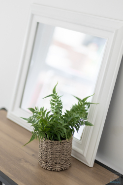 Hazlewood-Home-Staging-260522-1052