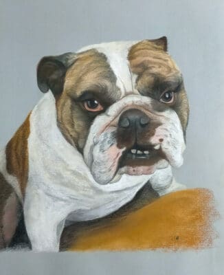 Dog portrait in Pastels