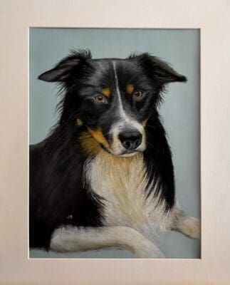 Levi the Working Sheepdog, Dog portrait in pastels