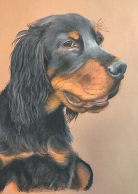 Gordon Setter, dog portrait in pastels, art, hand drawn