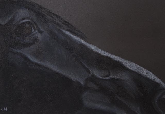 Pastels - Other Animals, Pastel, Horse, Portrait, Hand Drawn