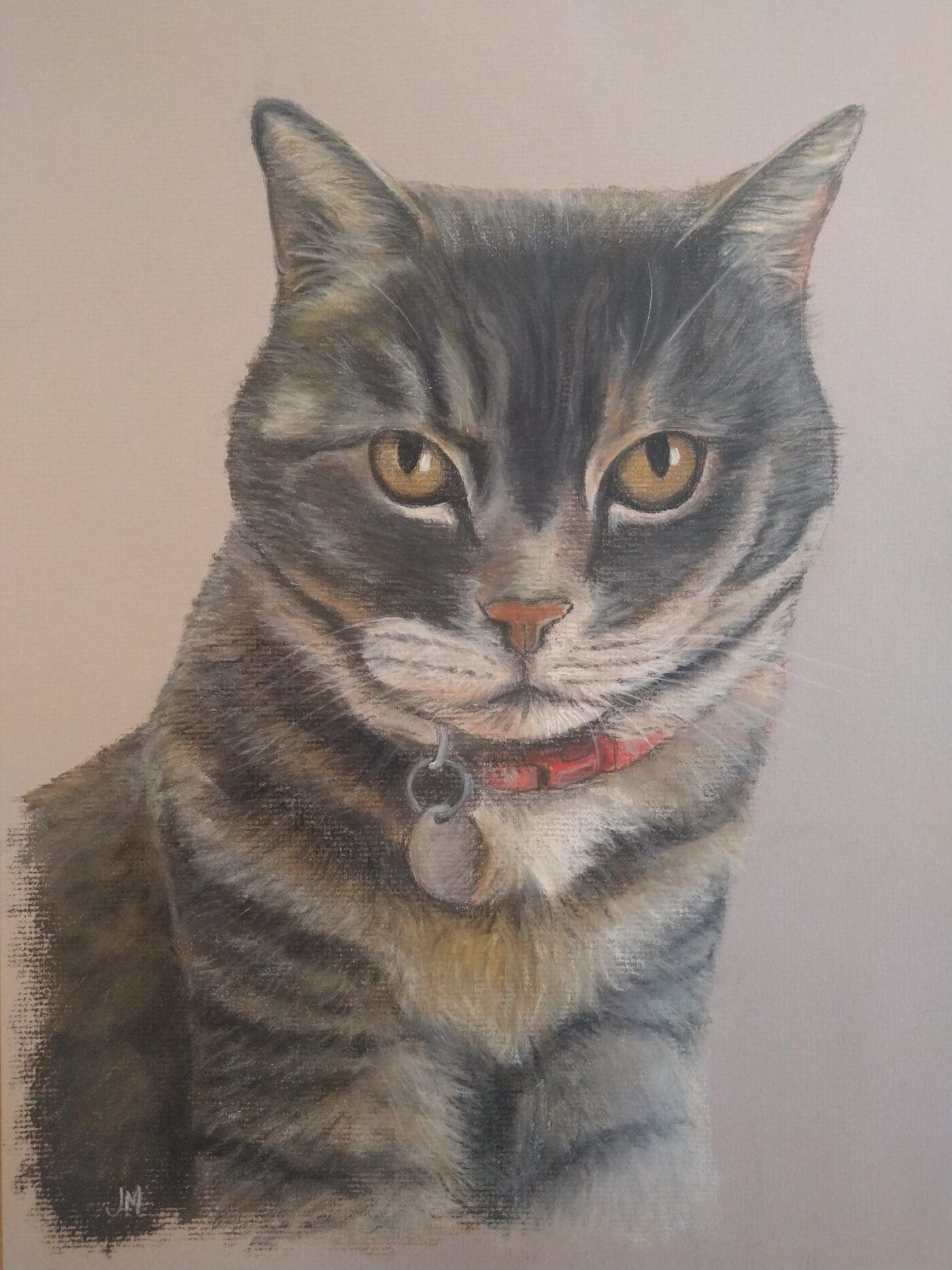 Missy the British Shorthair Cross, Cat portrait in pastels