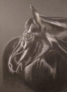 Black Horse, Pet Portrait, horse, horse Portrait, Pastel, Artist, Drawing, Painting, hand drawn