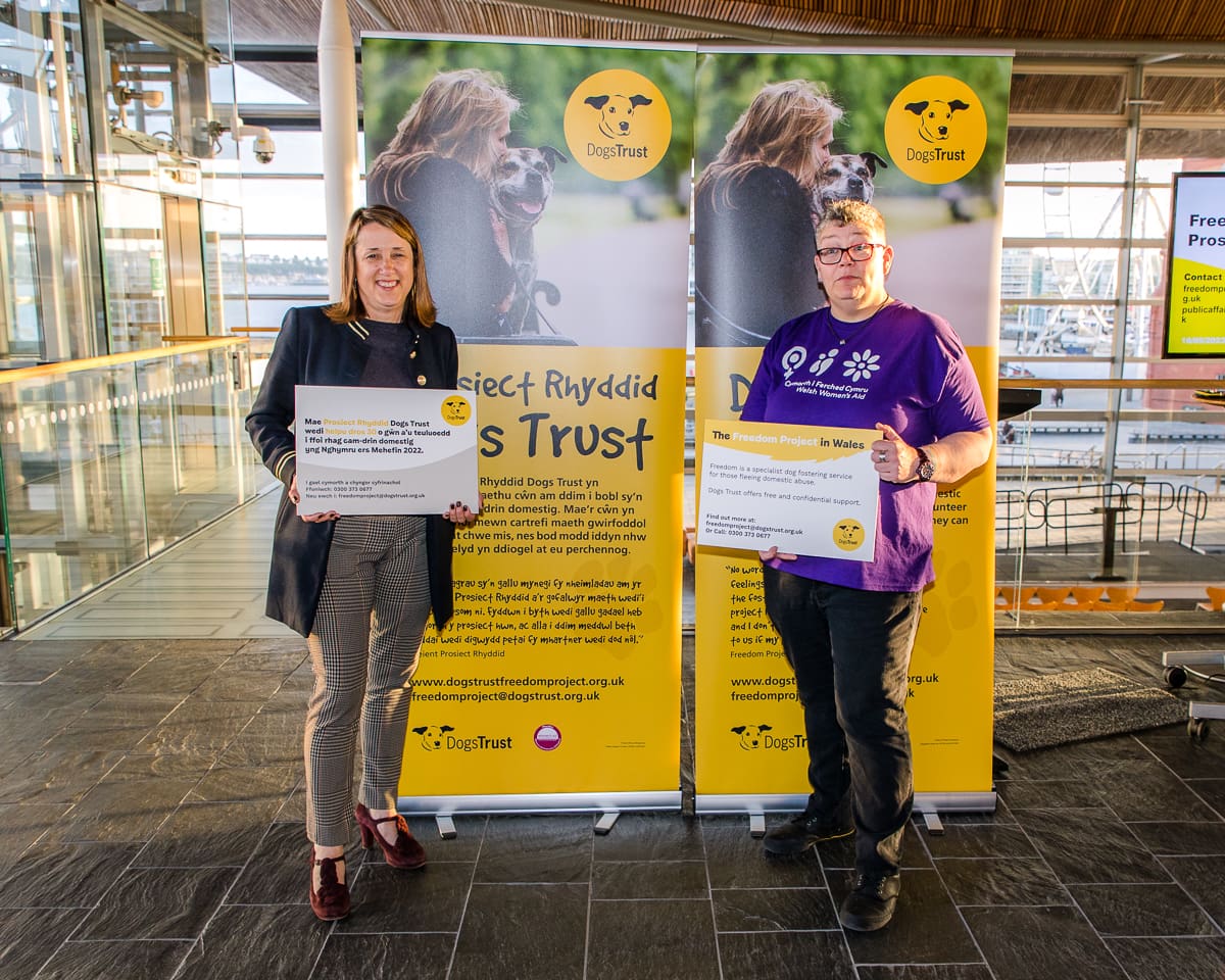 Commercial photography, event photography on behalf of the Dogs trust for the freedom project at the Senedd Cymru