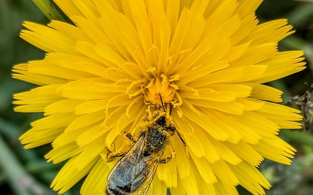 A Summer of Nature Photography